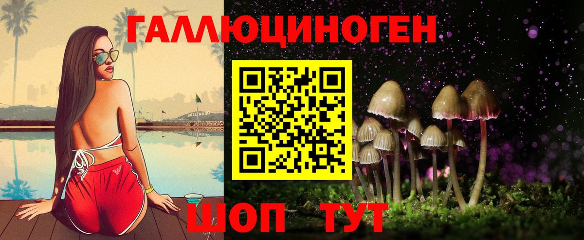 Псилоцибиновые грибы мицелий Гай
