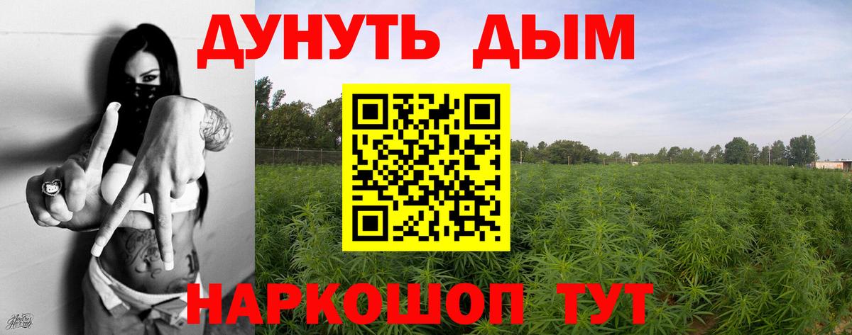 Канабис AK-47 Гай
